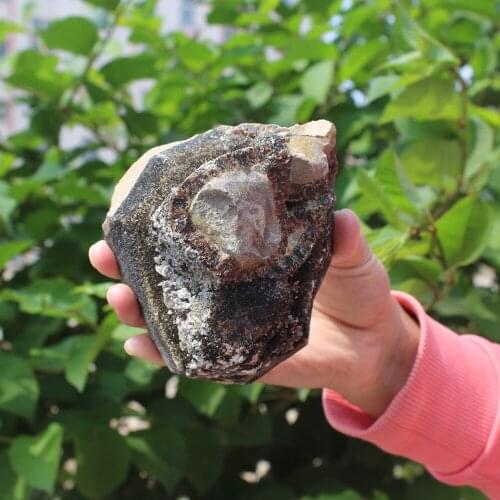 700g Natural curvature of the furnishing articles Turtle grain stone egg Ball Septarian nodule Fossil Crystal Healing quartz 26