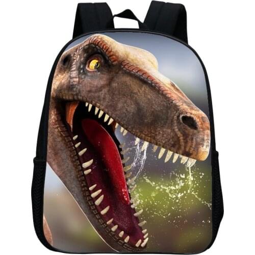 Dinosaur Backpack Kids School Bag For Boys Girls Cartoon Kindergarten Bag Fashion Childrens Backpack Kids Book Backpacks