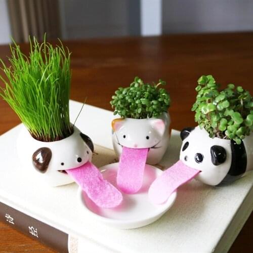 3pc Cat Dog Panda Flower Pot Storage Crafts Garden Flower Pot Cute Animal Shape Plant Potted Bonsai Cactus Pot Free Shipping