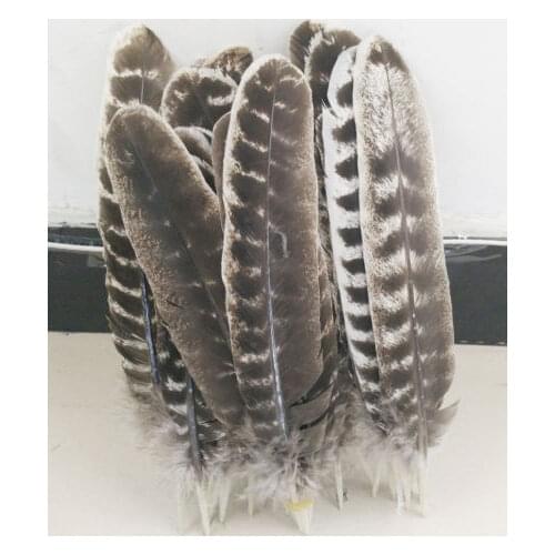Wild Turkey Feathers,10Pieces-NATURAL BARRED Wild Turkey Rounds Wing Quill Feathers 10-12inches 25-30cm,freeshipping