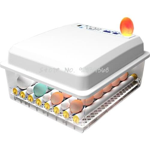Intelligent Roller Incubator Automatic Household Small Incubator Mini Incubator Chicken Duck Goose Egg Hatching Equipment