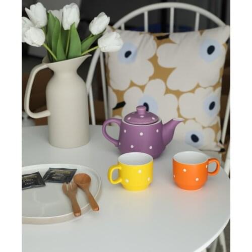 Leisure afternoon tea One pot two cups double teapot dessert teapot milk cup picnic cup cup with handle pouring kettle HP91101