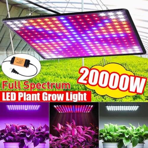 MAEREX Plant Lamps