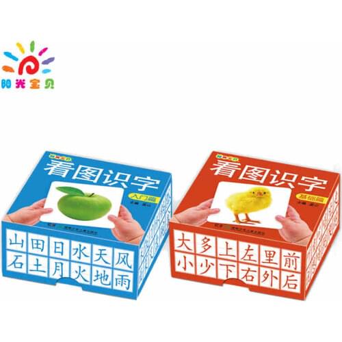 Kids Toddlers Babies Chinese Figure Literacy Card Learning Cards Books for children age 1-6 ,2 boxes/set, 216 cards in total