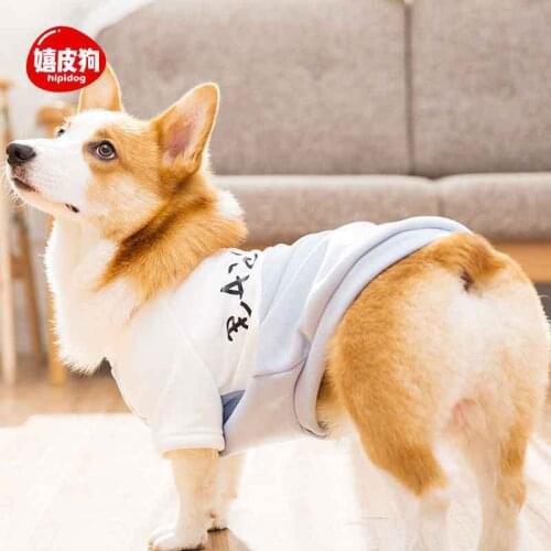 Stitching English Print Small Dog Spring Autumn Thin Corgi Teddy Sweater Skin-friendly Soft Comfortable Fabric Puppy Clothes