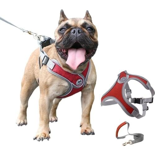 Reflective Small Dog Collar And Leash Set For Terrier Schnauzer French Bulldog Pet Walking Training Supplies Puppy Accessories
