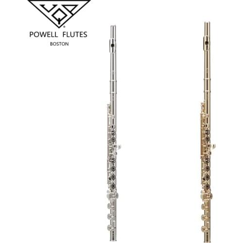 Made in JapanFlute High Quality Silver Plated 17 Keys Flute Open Hole E-Mech Flute Musical Instrument