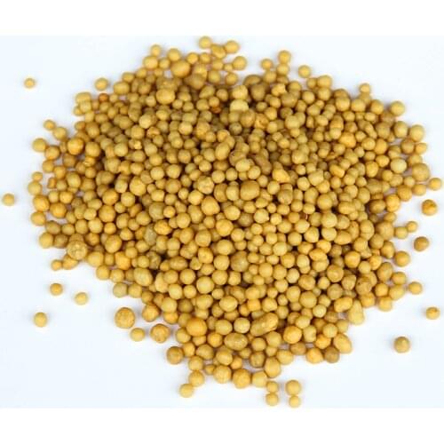 150g/pack Japanese Slow-release Orchid Plants Succulent Plant Meaty Plants Granular NPK Fertilizer
