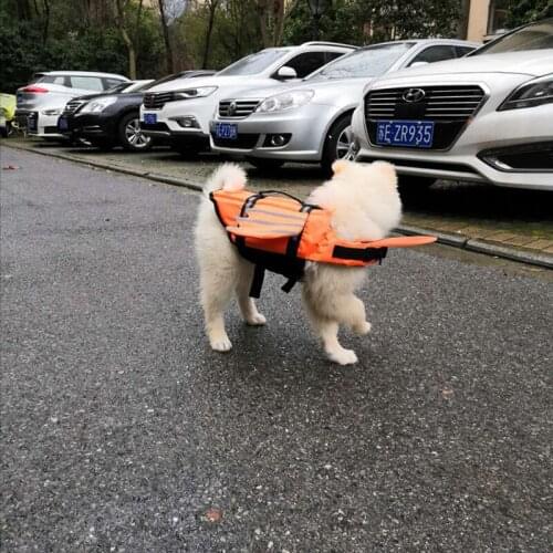Pet Life Jacket New Reflective Outdoor Dog Clothes Pet Swimsuit Angel Wing Dog Life Jacket Summer Dress