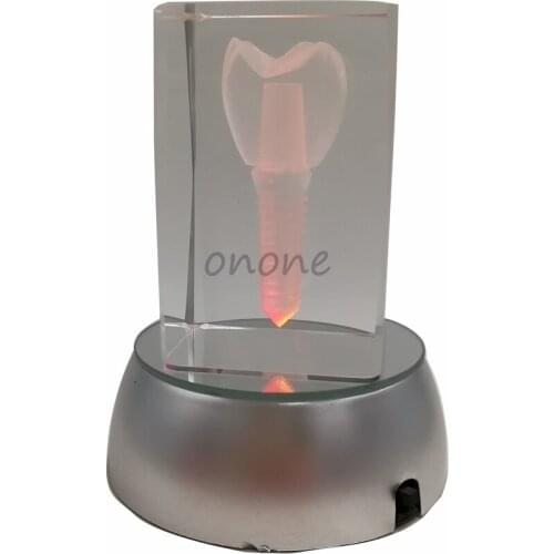 1pcs Dentist-patient Communication Teeth Model Crystal Model Creative Gifts Handicraft Article