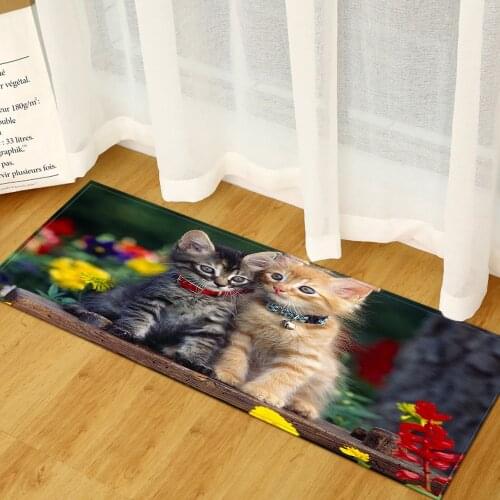 Welcome Mats Animal Printed Bathroom Carpets Anti-Slip Kitchen Rugs Washable Floor Mat for Living Room Bedroom Play Soft Doormat