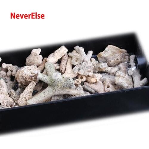200Gram Aquarium Filter Media Materials Coral Bone Natural Shell Fish Tank Decoration Clean Clear Water Filter Pump Accessories