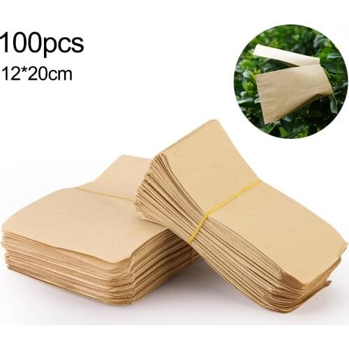 Blank Seed Envelopes Empty Seed Paper Bags 12*20cm Party Favors 6*10cm Wildflower Store Seeds 10*17cm 100 Pcs Crops Storage Sack