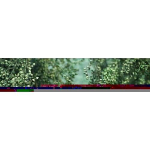 Fine Shrub Scene Model Tree Platform Material Prickly Scene Twigs Plant Modification Accessories Parts Grass Parts Decorati Y5D5