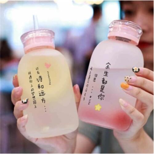 450ML Kawaii Cute Water Bottle Glass Cup With Straw And Lid Japanese Style Transparent Glass With Straw Frosted Drinkware Cup