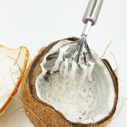 Stainless Steel Coconut Shaver Kitchen Gadgets Fruit Tools Hanging Seafood Accessories Multifunction Fish Clean Scales Tools