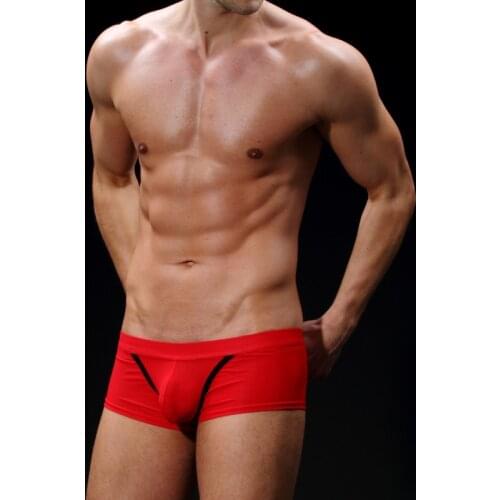 Men Sexy Nylon Breathable Comfortable Summer Boxer Underwear Mesh Low Rise Stretch Boxers HOT Fit Underpants Trunk Patchwork