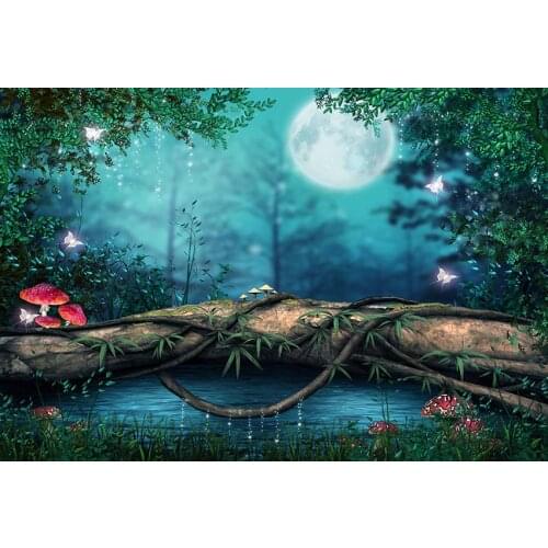 Magic child birthday photo background vinyl moon butterfly Photography backdrops for photo Studio accessories photophone lv-1946