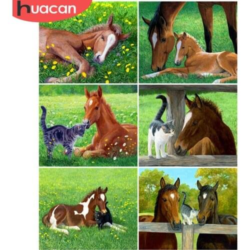 HUACAN DIY Painting By Number Horse Pictures By Numbers Animal Kits Drawing On Canvas Hand Painted Paintings Art Gift Home Decor