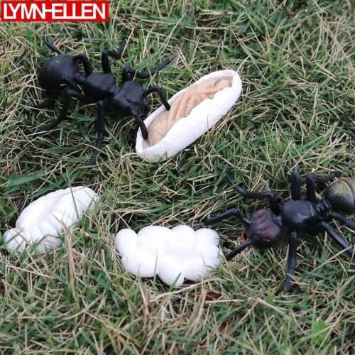Simulation Wild Animal Ant Worker Ants Growing Up Cycle Transform Process Model Figure Home Decoration Education Kids Puzzle Toy