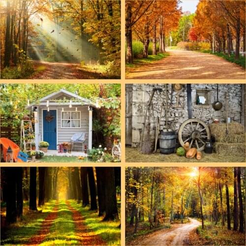 LEVOO Photography Background Autumn Forest Fallen Leaves Baby Portrait Backdrop Photographic Photophone Photo Studio Props Vinyl