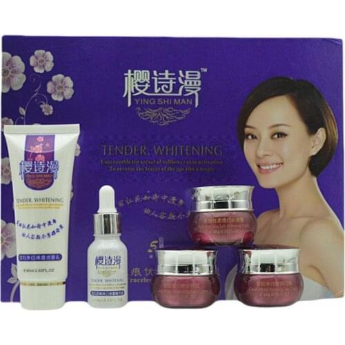 5 Pcs Face Skin Care Set Repair Whitening Nursing Moisturizing Remove Freckle Hyaluronic Acid Face Cream Cleansing Essence Sets