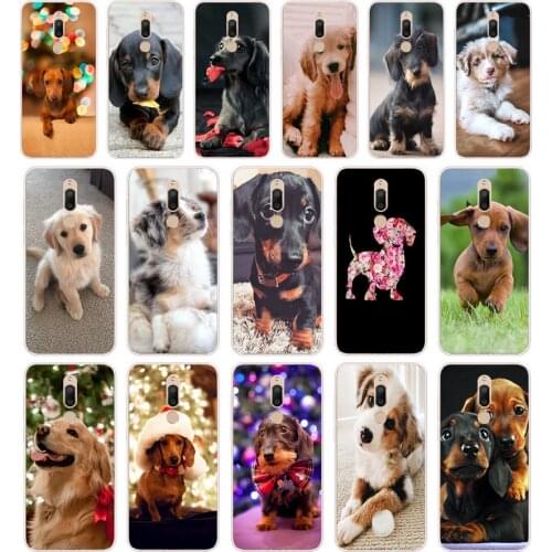 108FG Dachshund Teckel Dackel Dog gift Soft Silicone Tpu Cover phone Case for Meizu M5 M5C M5S Note M6 M6S M6T case