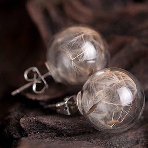 2pairs 16MM Glass Bubble Dandelion earrings Wish Earrings Glass Ball earrings Real Dried seeds Earrings For Women