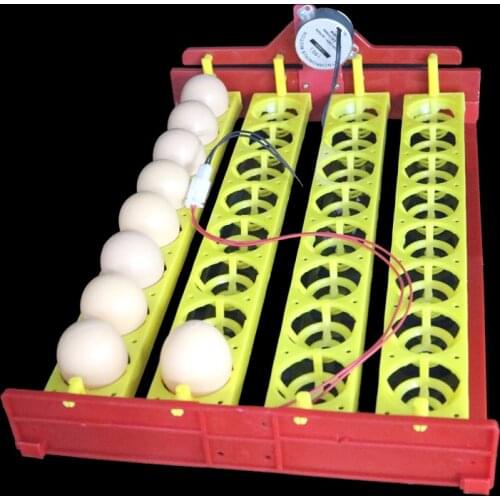 New 32 Eggs Turn Tray Automatic Incubator Egg Tray Chicken Duck Eggs Tray 4 * 8 Holes Poultry Incubation Equipment