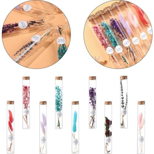 Decorative Mini Natural Dried Flower Bouquet In Glass Bottle Natural Plants Preserve Floral For Wedding Home Decor DIY Craft