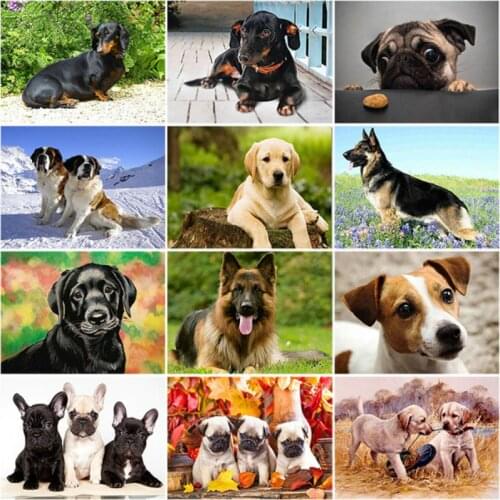 DIY 5D Diamond Painting Dog Animal Diamond Embroidery Cross Stitch Kit Dachshund Mosaic Full Round Drill Rhinestone Home Decor