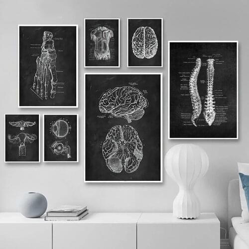 Skeleton Organ Muscle Human Body Anatomy Artwork Medical Printing Mural Retro Black And White Poster Educational Canvas Painting