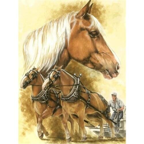 Horse Animal Printed 11CT Cross-Stitch Embroidery Complete Kit DMC Threads Sewing Handicraft Needlework Handmade Needle Mulina