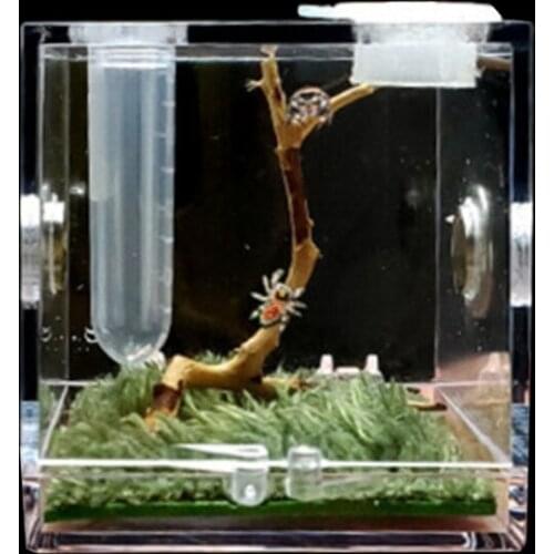 Transparent Spiders Breeding Box Full View Top Feeding Ventilation Small Reptiles Acrylic Habitat Cage Anti-Escape Drop shipping