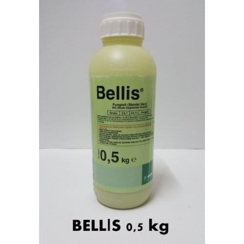 Bellis 0,5 kg