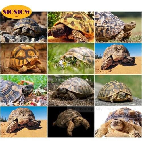 Full Square Drill 5D Turtle Diamond Painting Tortoise Animals Cross Stitch Kits 3D Daimond Mosaic Embroidery DIY Room Decor Home