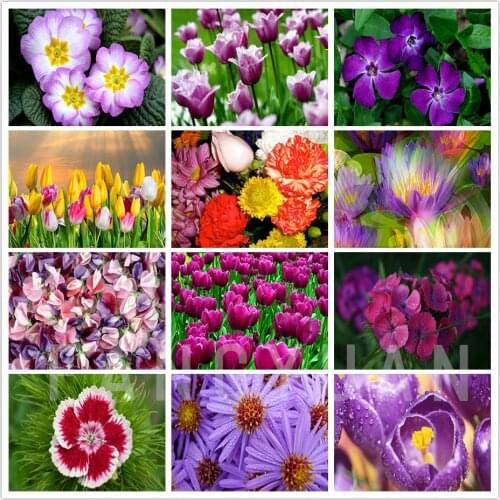 Diamond Embroidery Flowers Needlework 5D Diy Diamond Painting Floral Cross Stitch Wall Art Picture of Rhinestones Home Decor