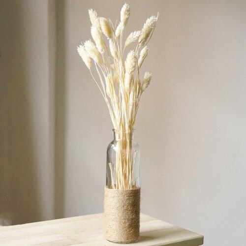 50pcs Dried Gem Grass White Flower Bunch Phalaris Flower Bouquets Wedding Decoration Eternal Flower Photography Props