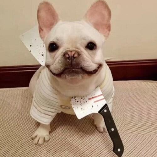 Party Funny Props Dog Headdress Lovely Accessories Costumes Dog funny selling cute Headwear Headband Decor Pet Hat Accessory