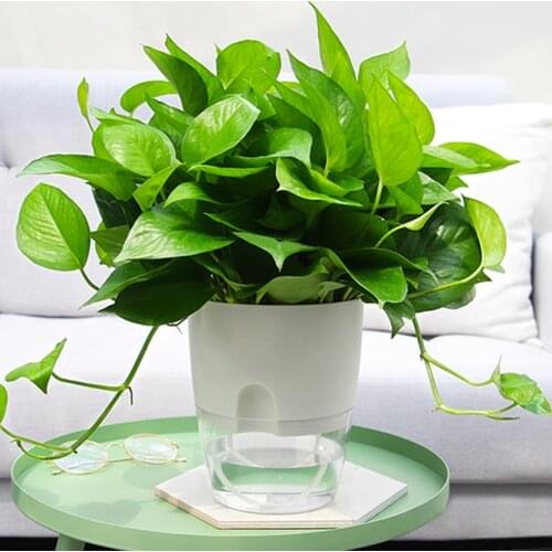 Home Office Decor Hydroponic Flowerpot Practical Plastic Plant Pot 2 Layer Self Watering Flower Pot with Water Tank