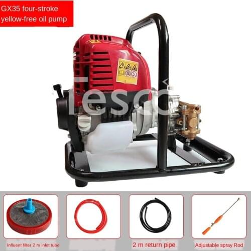 Portable Gasoline Spray Insecticide Machine Copper Pump Head Fruit Tree Sprayer Garden Sprayer Agricultural Car Washer