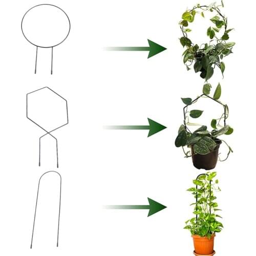 DFGHGF Supports And Garters For Plants