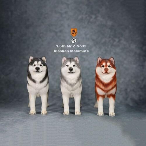 Mr.Z 1/6 No.032 Scale Simulation Animal dog Alaskan Malamute Model Kids Toys Gift Model F 12" Action Figure Scene Car Decoration