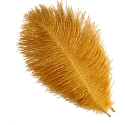 Asia Ra 100PCS Gold Ostrich Feathers 50-55CM 20-22" Natural Rare Ostrich Plumes For Wedding Carnival Party Crafts Making Pluma