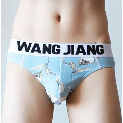 Mens Briefs Printed Ultra-thin Underpants Man Cueca Masculina U Pouch Male Panties Mens Briefs Gay Underwear