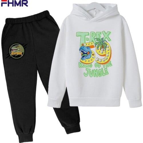 Dinosaur Hoodie Set Children Sets For Boys Fashion Girls And Boy Sports Suit For Children Long Sleeve Suit 2021 T-shirt + Pants
