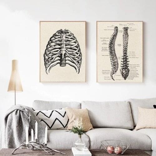 Human Anatomy Skeleton Medical Vintage Canvas Painting Wall Art Nordic Posters and Prints Wall Pictures for Living Room Decor