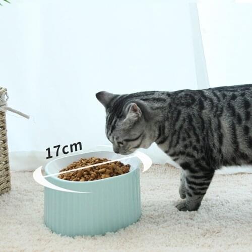 Big Size Cats Feeder Drinking Bowls for Dogs Pet Food Bowl Comedero Perro Miska Dla Psa Gamelle Chien Chat Voerbak Hond D5072