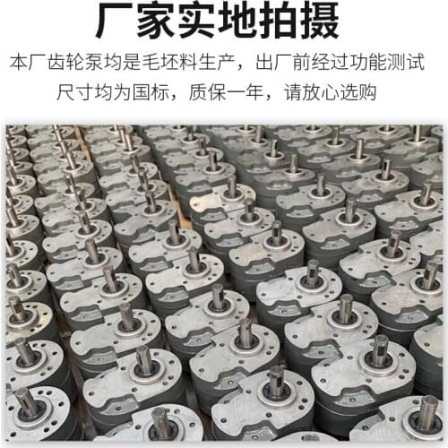 Pompa idraulica dell'ingranaggio di lubrificazione CB-B80 CB-B100 CB-B125