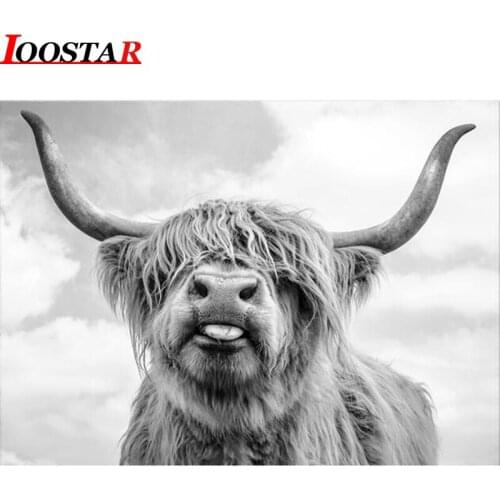 5d DIY Diamond Embroide Highland Cow Full square round Diamond Painting Cross Stitch Black White art Diamond Mosaic 3d pictures